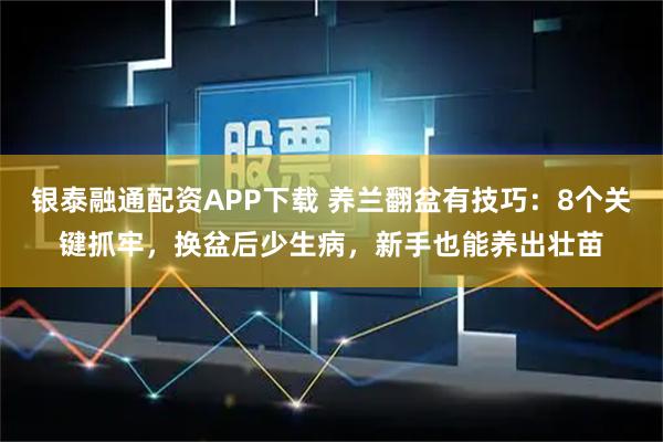 银泰融通配资APP下载 养兰翻盆有技巧：8个关键抓牢，换盆后少生病，新手也能养出壮苗
