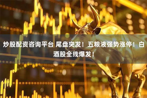 炒股配资咨询平台 尾盘突发！五粮液强势涨停！白酒股全线爆发！